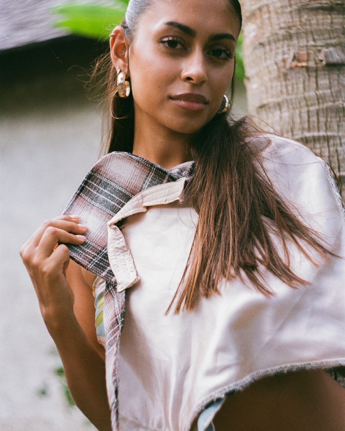 Brown Plaid