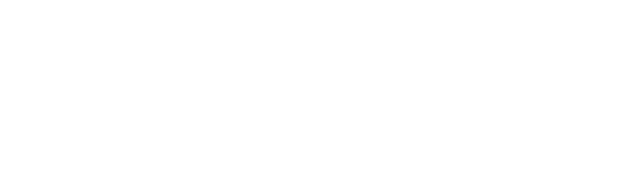 Satyn logo blanc